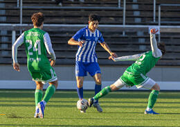 Borhan Sadek